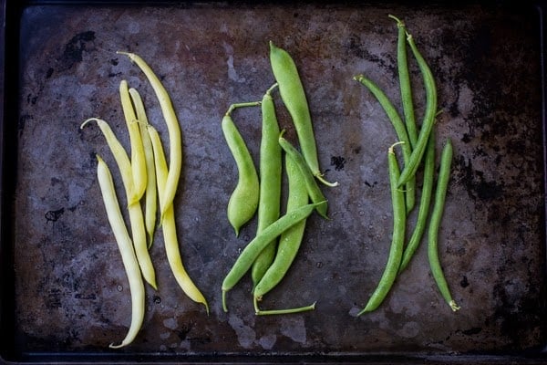 3 types of bean on a tray 