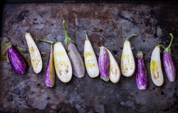 row of eggplants