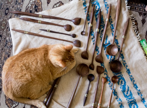 cat and spoons 