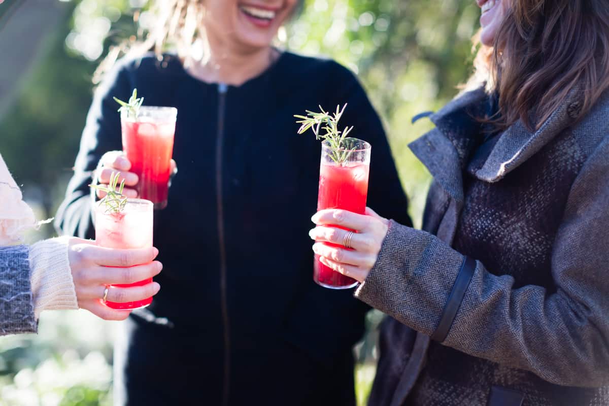 friends holding glasses of Rosemary, Pomegranate, & Grilled Meyer Lemon Vodka Sparklers