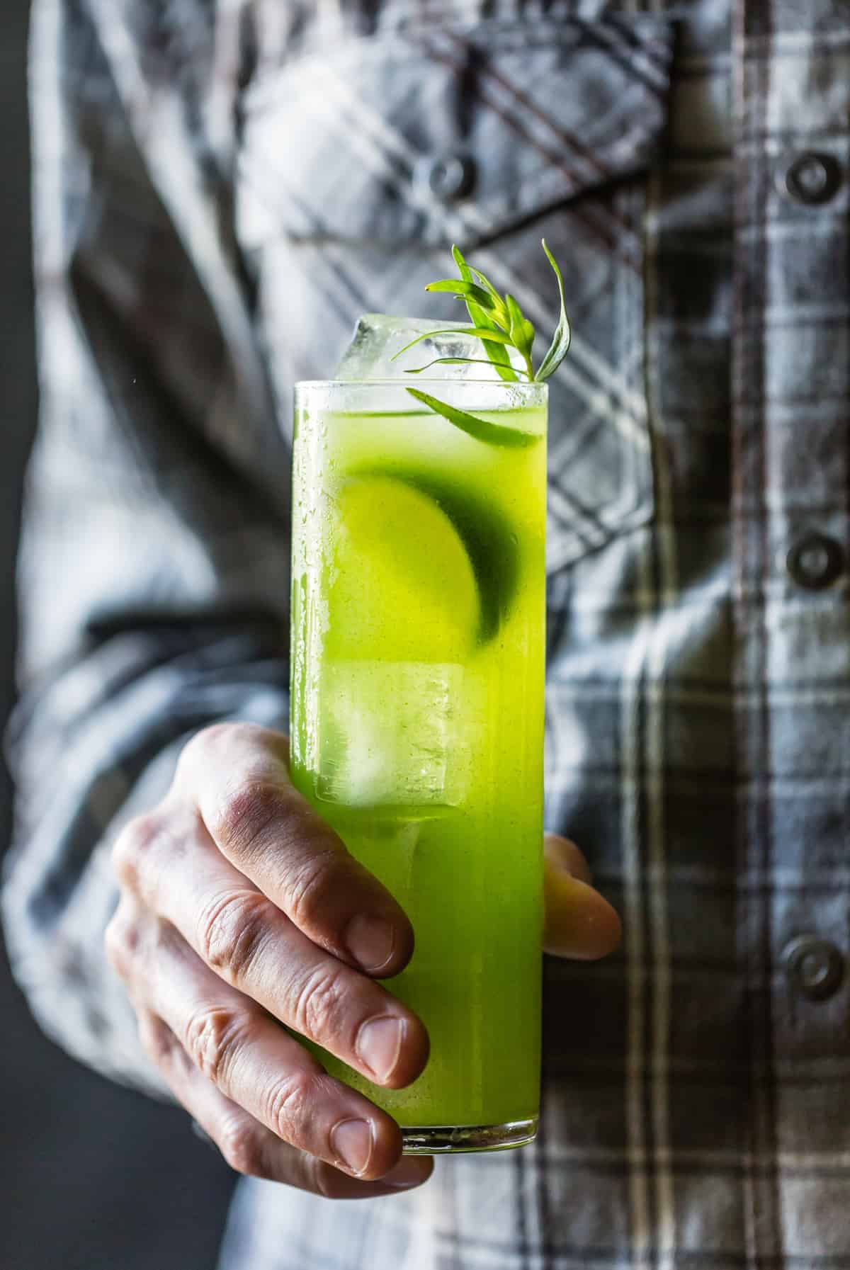 hand holding a Tarragon Gin and Tonic