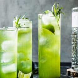 Tarragon Gin & Tonics