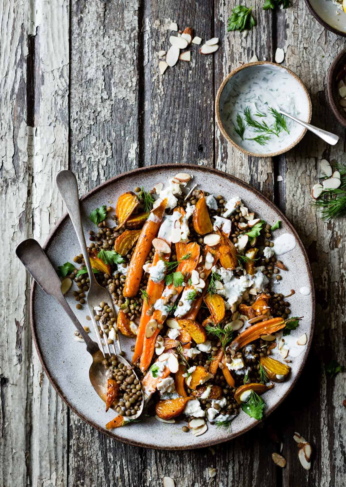 Roasted Beet & Carrot Lentil Salad with Feta, Yogurt & Dill on plate