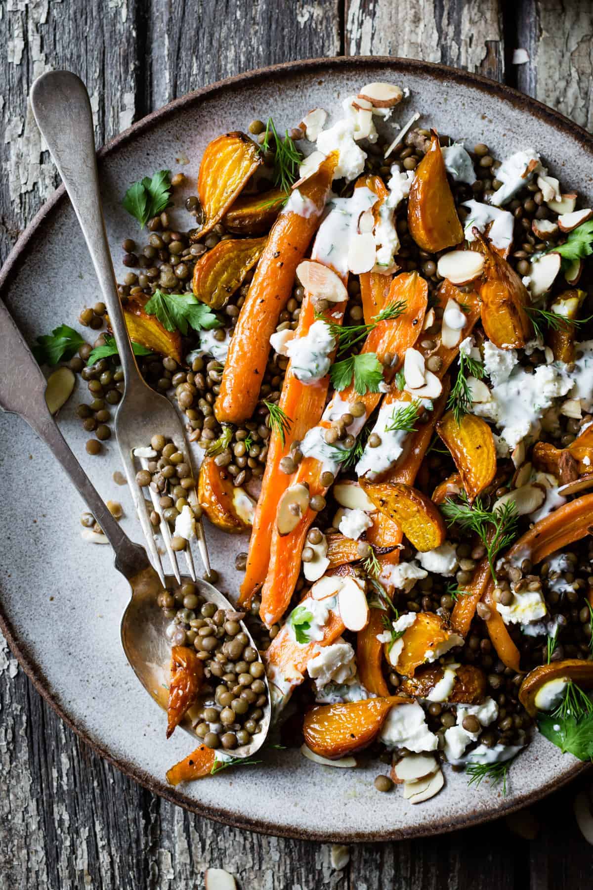 close up of Roasted Beet & Carrot Lentil Salad with Feta, Yogurt & Dill