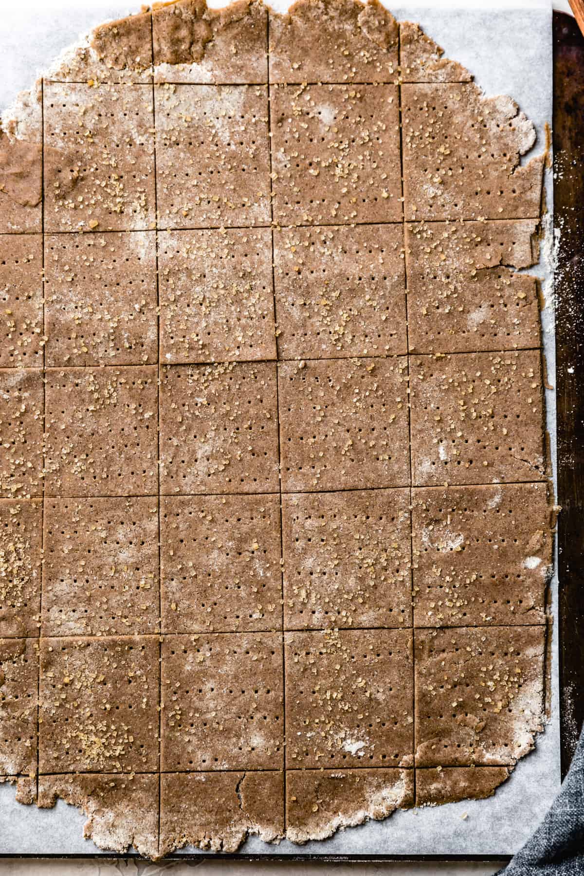 Gluten Free Graham Crackers before baking 