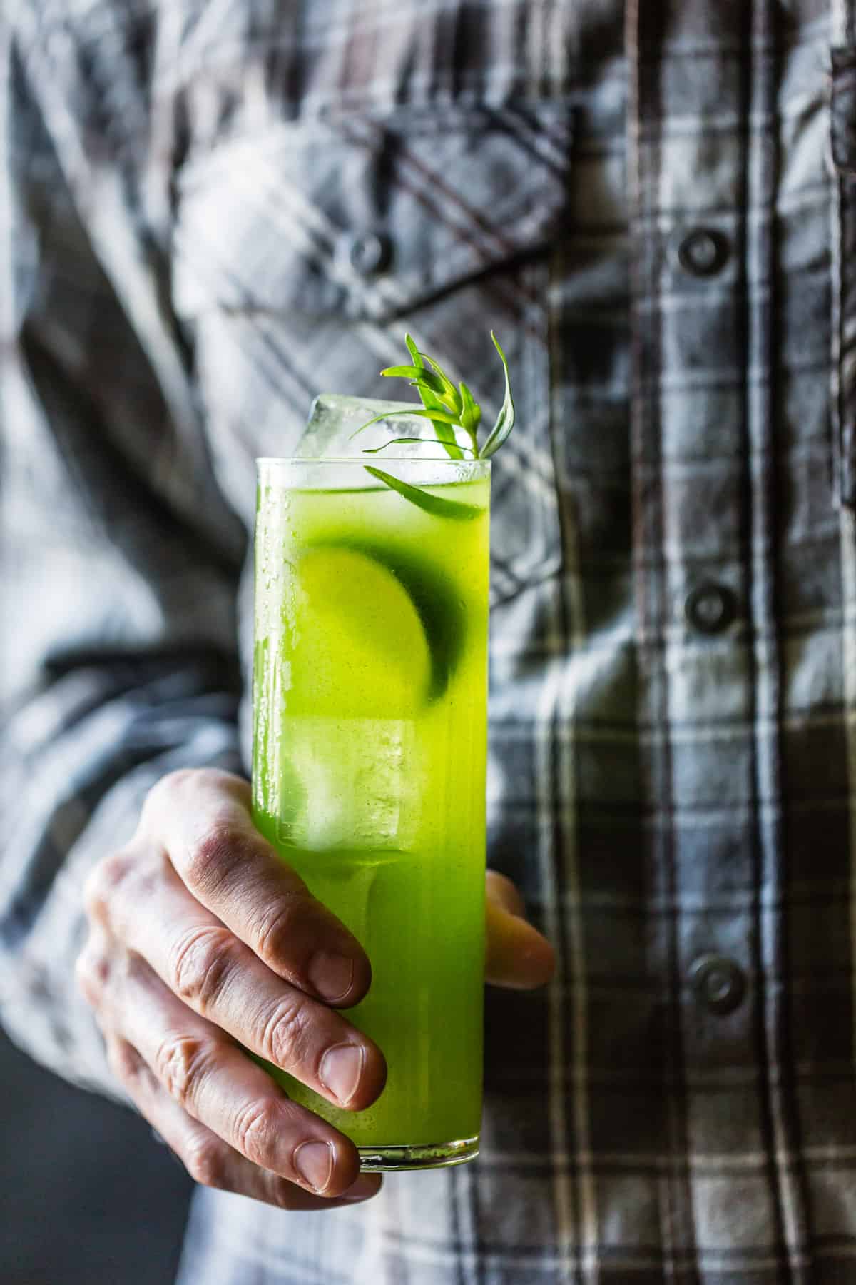 Tarragon Gin and Tonic