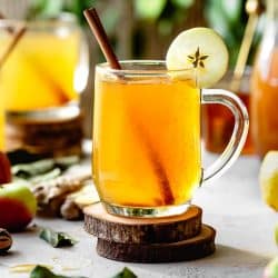 Apple Cider Hot Toddy with Vodka, Honey, Lemon, and Cinnamon