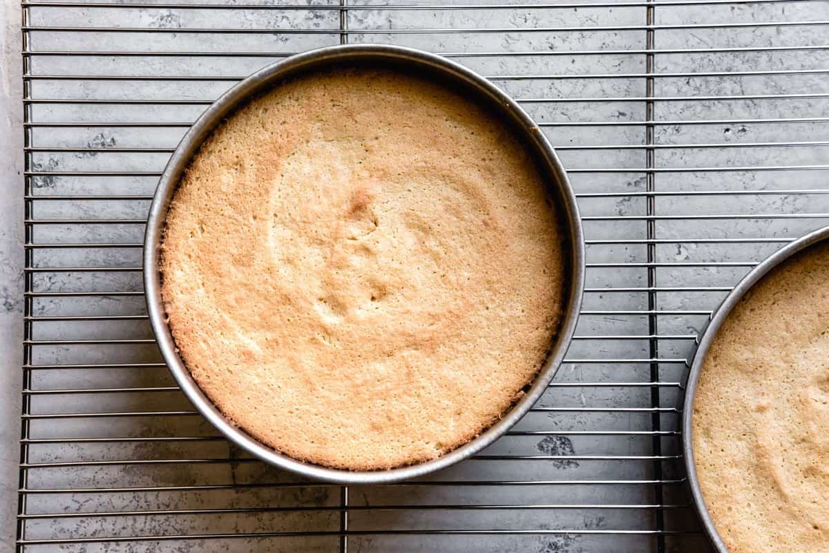 baked sponge cake on a cooling rack