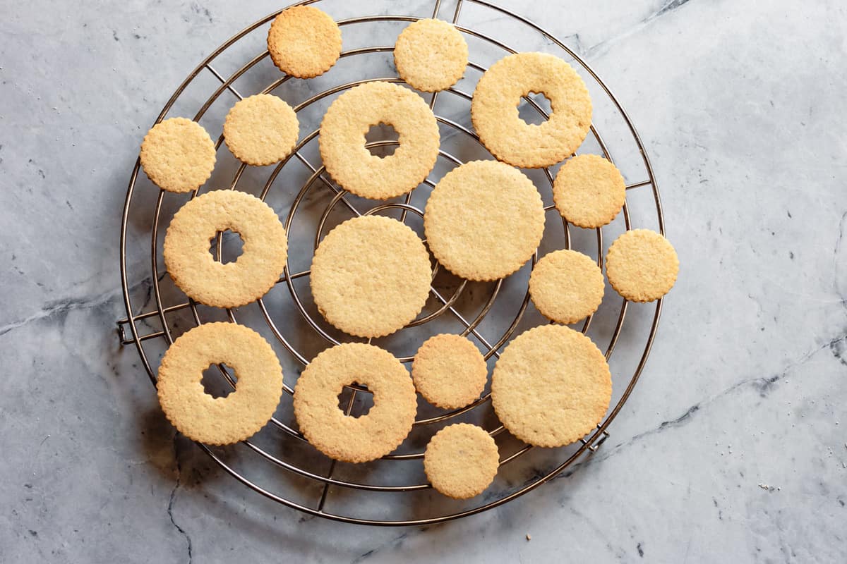 gluten-free dairy-free sugar cookies, baked on a cooling rack