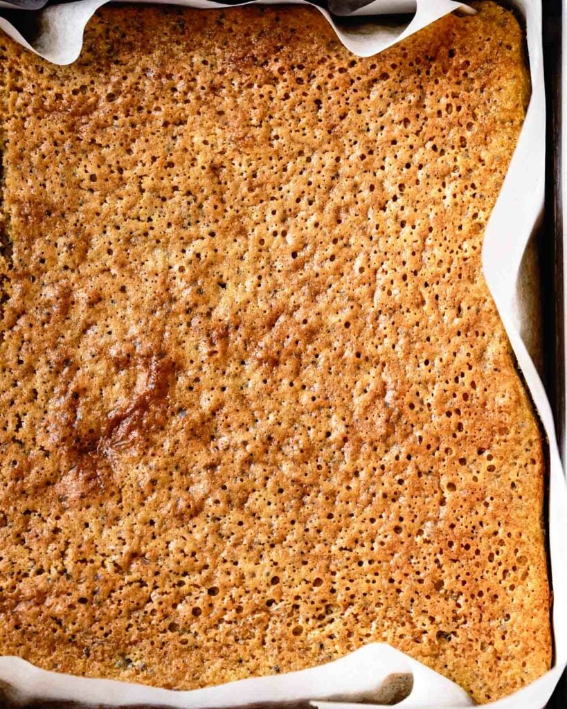 closeup of the baked cake showing its airy crumb