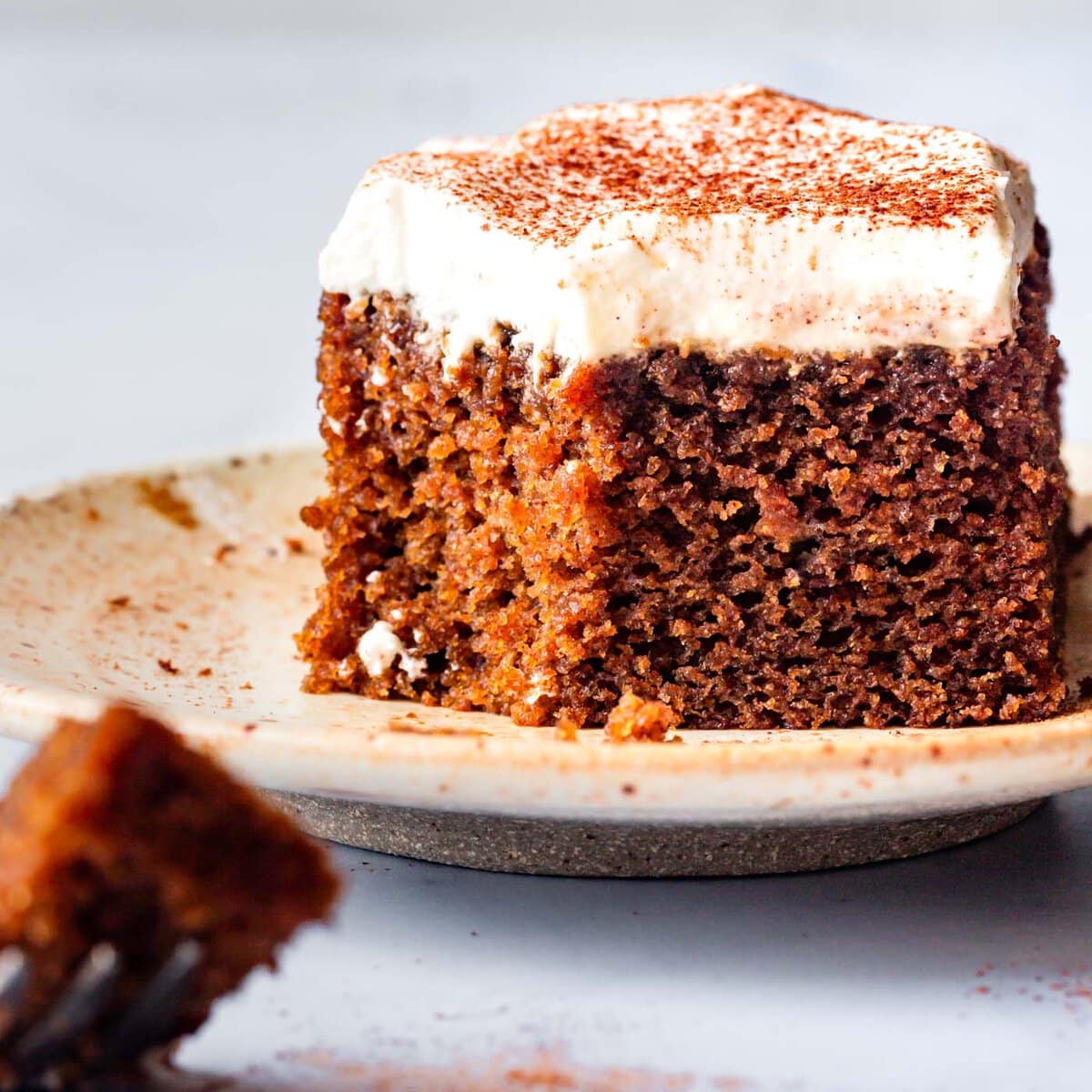 Gingerbread Bundt Cake with Cinnamon Pecan Swirl {Paleo, GF, DF} 